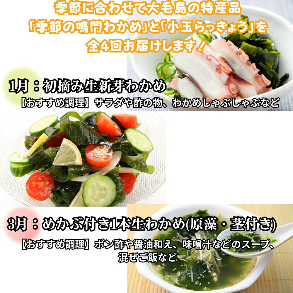 【ふるさと納税】鳴門大毛島直送！【全4回定期便（1月/3月/5月/7月）】鳴門わかめ食べ比べ、らっきょう甘酢漬けセット｜鳴門わかめ　食べ比べ　定期便　わかめ　らっきょう　甘酢漬け　セット　健康　食物繊維