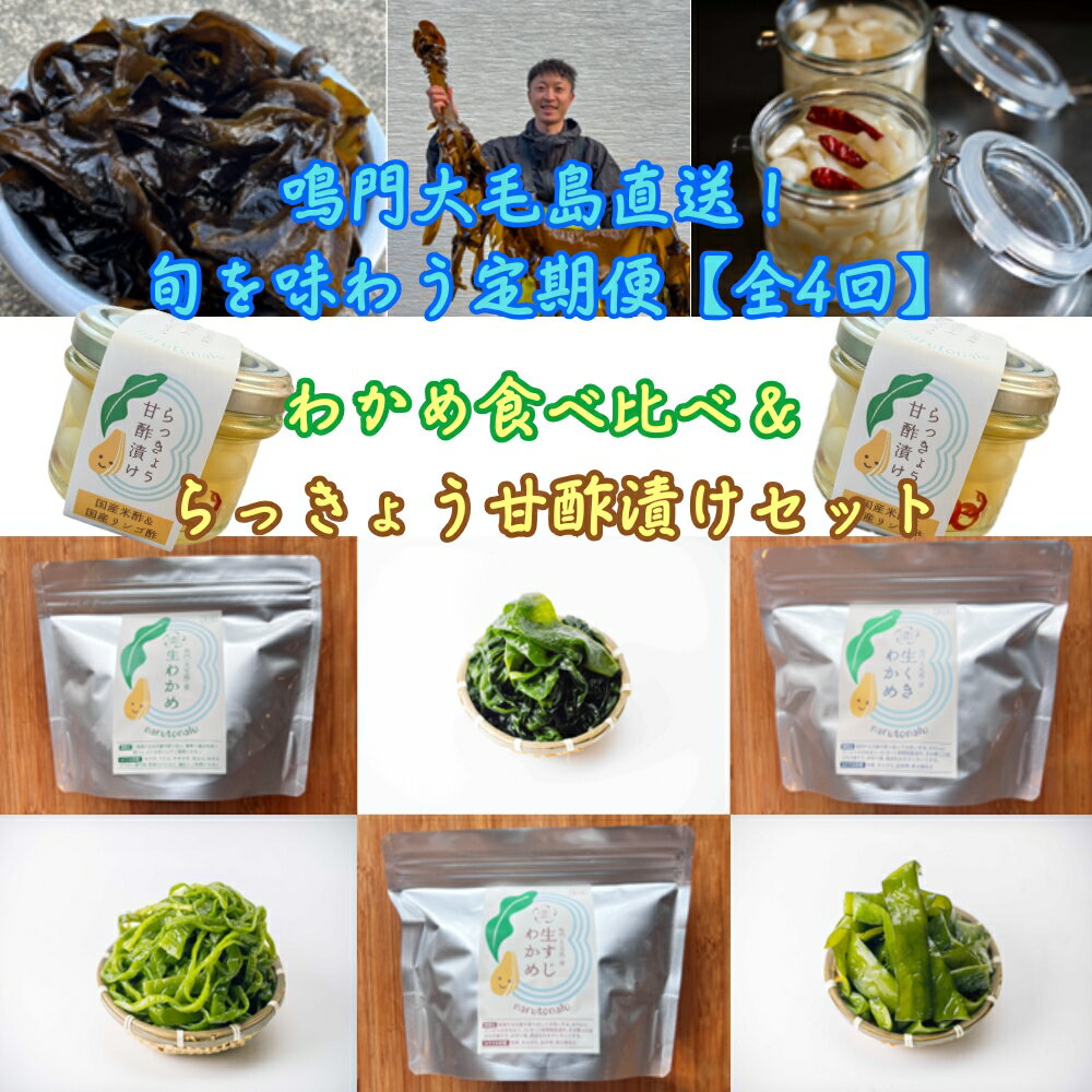 【ふるさと納税】鳴門大毛島直送！【全4回定期便（1月/3月/5月/7月）】鳴門わかめ食べ比べ、らっきょう甘酢漬けセット｜鳴門わかめ　食べ比べ　定期便　わかめ　らっきょう　甘酢漬け　セット　健康　食物繊維