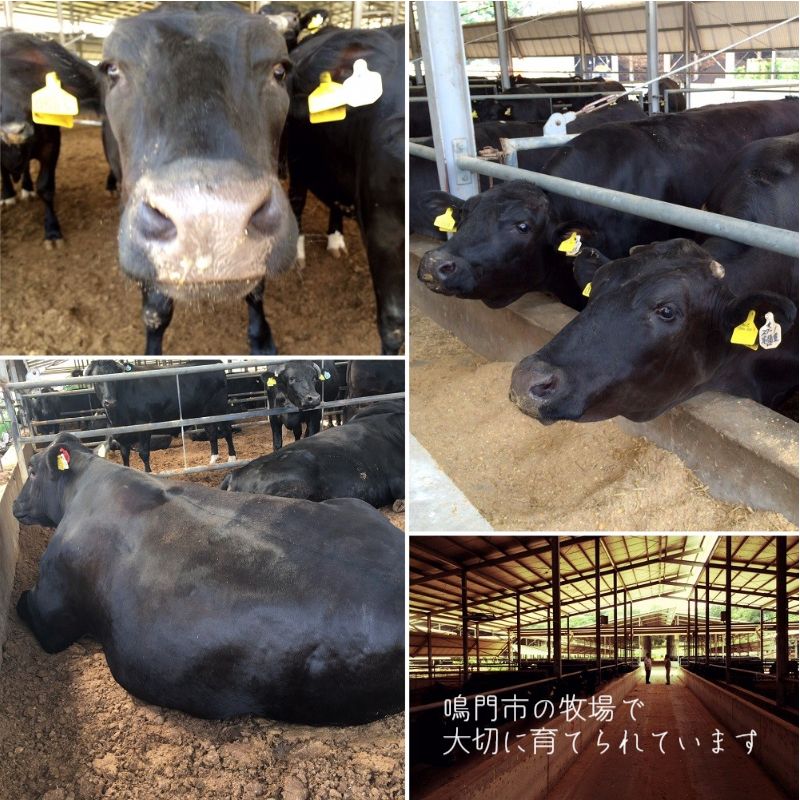 徳島県鳴門市の画像3