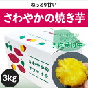 【ふるさと納税】【予約受付中・2025年10月頃より順次発送】 さわやかの焼き芋 3kg(15本~25本) < 徳島さわやかファーム > | さつまいも ねっとり 甘い 熟成 国産 産地直送 スイーツ 焼き芋 焼芋 焼きいも おやつ