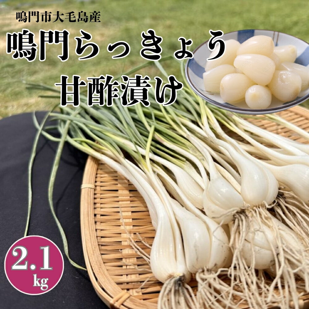 鳴門らっきょう甘酢漬け | 国産 鳴門市