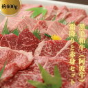 【ふるさと納税】 焼き肉 約 600g 冷凍 国産 徳島県 黒毛和牛 阿波牛 和牛 牛肉 セット 赤身 バーベキュー BBQ