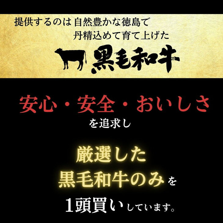 【ふるさと納税】 ステーキ 750g 250g × 3枚 国産 冷蔵 サーロイン ロース 黒毛和牛 阿波牛 和牛 牛肉 グルメ 鉄板 ギフト