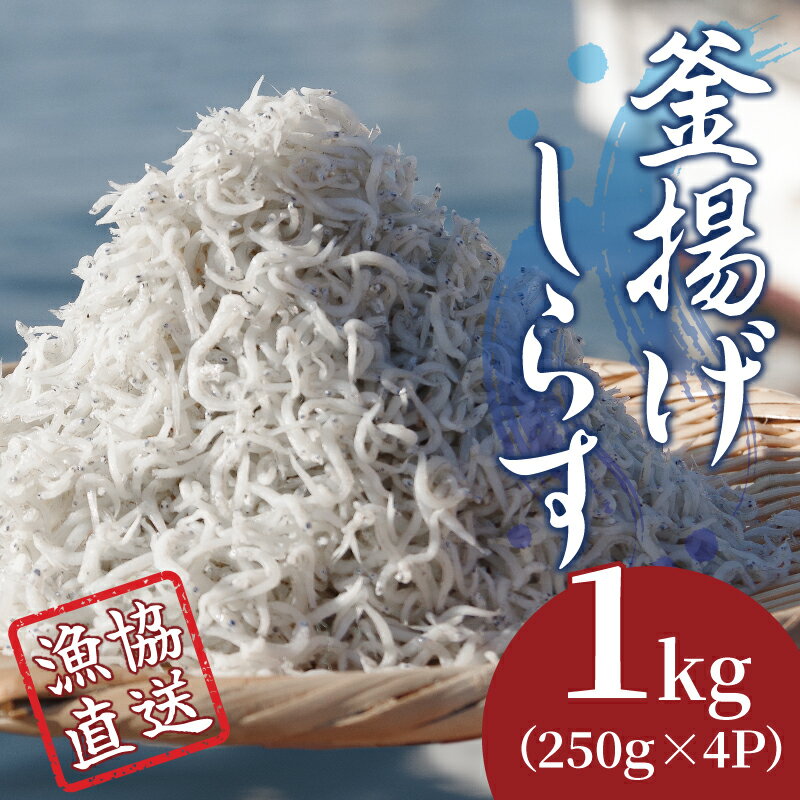 22位! 口コミ数「0件」評価「0」 しらす 釜揚げ 1kg（250g×4パック）冷凍 小分け 漁協直送 しらす丼 丼ぶり 魚 ご飯 お取り寄せ グルメ 人気 おすすめ やわら･･･ 