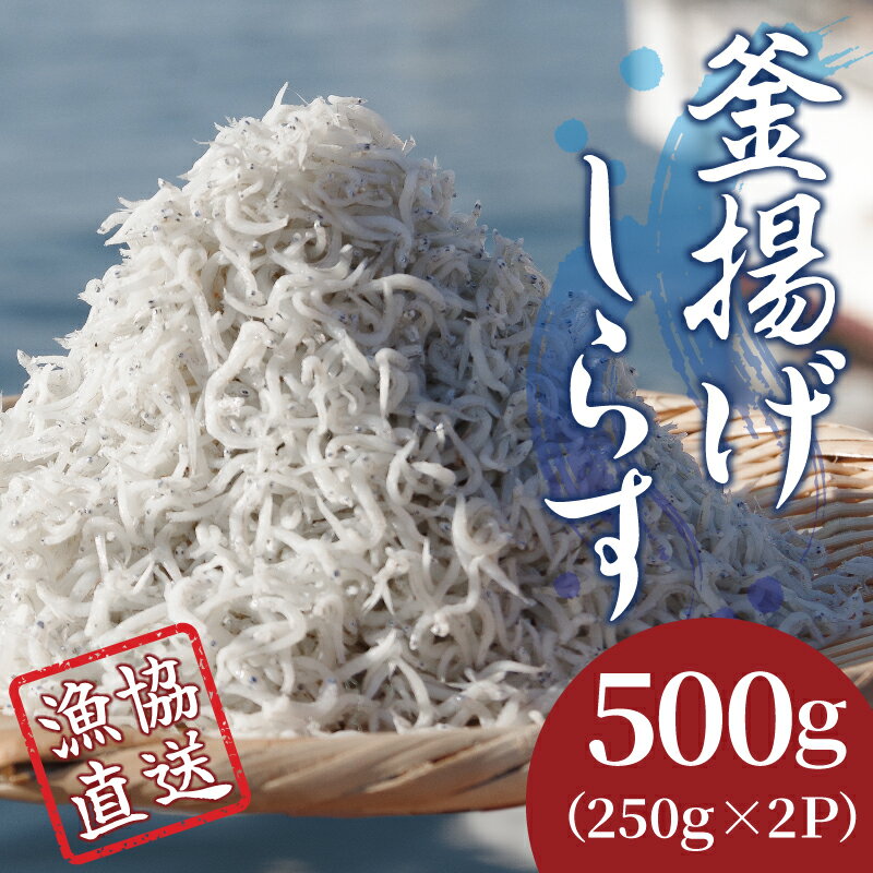 魚介類・水産加工品(生ちりめん・生しらす)人気ランク27位　口コミ数「0件」評価「0」「【ふるさと納税】 しらす 釜揚げ 500g（250g×2パック）冷凍 小分け 漁協直送 しらす丼 丼ぶり 魚 ご飯 お取り寄せ グルメ 人気 おすすめ やわらか ちりめん ※北海道、沖縄、離島配送不可」