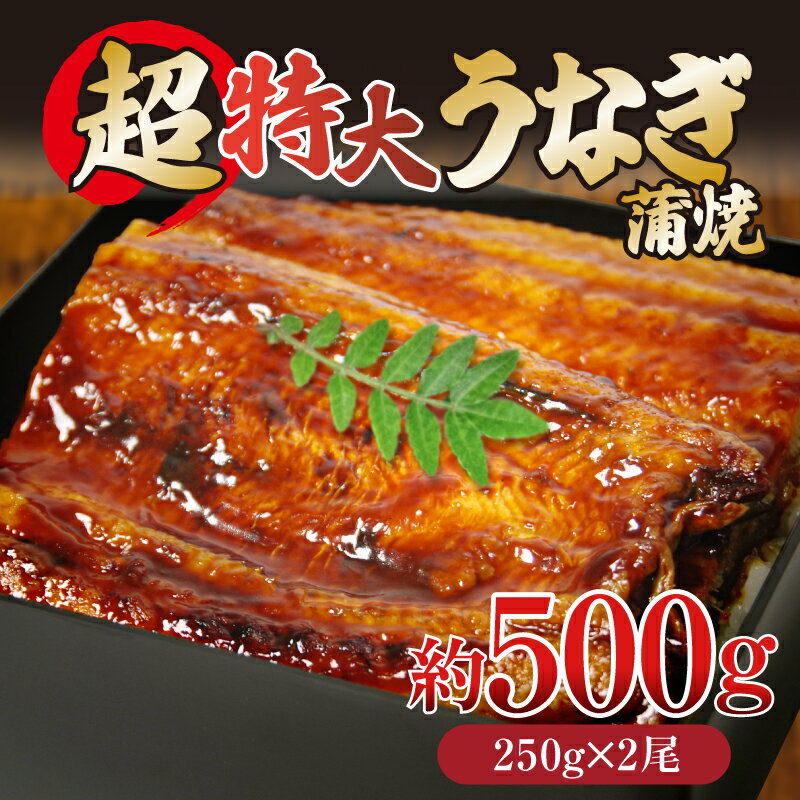 【ふるさと納税】 特大 うなぎ 500g 250g×2尾 冷凍 蒲焼き かばやき うな重 ひつまぶし タレ 山椒 鰻 ウナギ うなぎ 父の日 丑の日 ※北海道・東北・沖縄・離島へ配送不可