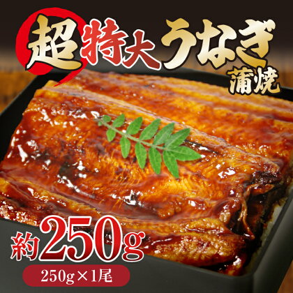 うなぎ 250g 1尾 冷凍 中国産 蒲焼き かばやき うな重 ひつまぶし タレ 山椒 鰻 ウナギ うなぎ ※北海道・東北・沖縄・離島へ配送不可