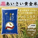 【ふるさと納税】 定期便 4回 計 白米 40kg 5kg 2袋 4ヶ月 国産 徳島県 コシヒカリ ご飯 令和5年産 あいさい黄金米