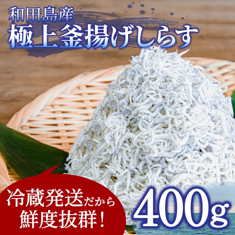 【ふるさと納税】 釜揚げ しらす 400g 国産 徳島県産 和田島産 とれたて 新鮮 産地直送 釜揚げしらす 冷蔵 発送 小分け 200g 2袋 セット 和田島しらす ちりめん 魚介類 魚 小魚