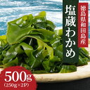 商品説明 商品名 【先行予約】塩蔵わかめ 250g×2パック 計 500g 国産 和田島産 肉厚わかめ 朝日丸水産 冷蔵 産地直送 2024年4月順次発送 内容量 250g×2袋　計500g 商品詳細 豊かな漁場で自然の力にまかせて育てています。身が厚く、シコシコした食感が特徴です。わかめはカリウムやマグネシウムといったミネラルを豊富に含んでいます！様々な調理方法でお楽しみください。使いやすい小分けパックでご用意しました。※ご注意ください※こちらは、先行予約の返礼品となっております。発送は2024年4月以降順次発送いたします。【加工地】小松島市【製造者】朝日丸水産徳島県小松島市和田島町明神東56-6 賞味期限 冷蔵保存で3ヶ月 アレルギー かに・えび 配送について 2024年4月以降順次発送いたします※発送期間：2024年4月1日～8月31日 提供 朝日丸水産 ・ふるさと納税よくある質問はこちら ・寄付申込みのキャンセル、返礼品の変更・返品はできません。あらかじめご了承ください。 ・ご要望を備考に記載頂いてもこちらでは対応いたしかねますので、何卒ご了承くださいませ。 ・寄付回数の制限は設けておりません。寄付をいただく度にお届けいたします。入金確認後、注文内容確認画面の【注文者情報】に記載の住所に60日以内に発送いたします。 ワンストップ特例申請書は入金確認後60日以内に、お礼の特産品とは別に住民票住所へお送り致します。