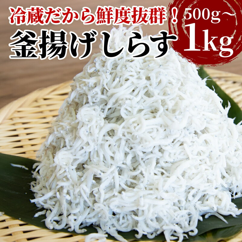 1位! 口コミ数「14件」評価「4.64」 釜揚げ しらす 500g～1kg 国産 徳島県産 和田島産 とれたて 新鮮 産地直送 釜揚げしらす 冷蔵 発送 小分け 250g ずつ 和･･･ 