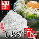 【ふるさと納税】 しらす 釜揚げ 200g~1kg 定期便 2025年5月発送 ちりめんじゃこ じゃこ しらす ちりめん 小魚 魚 海鮮 魚介類 魚貝 シーフー...