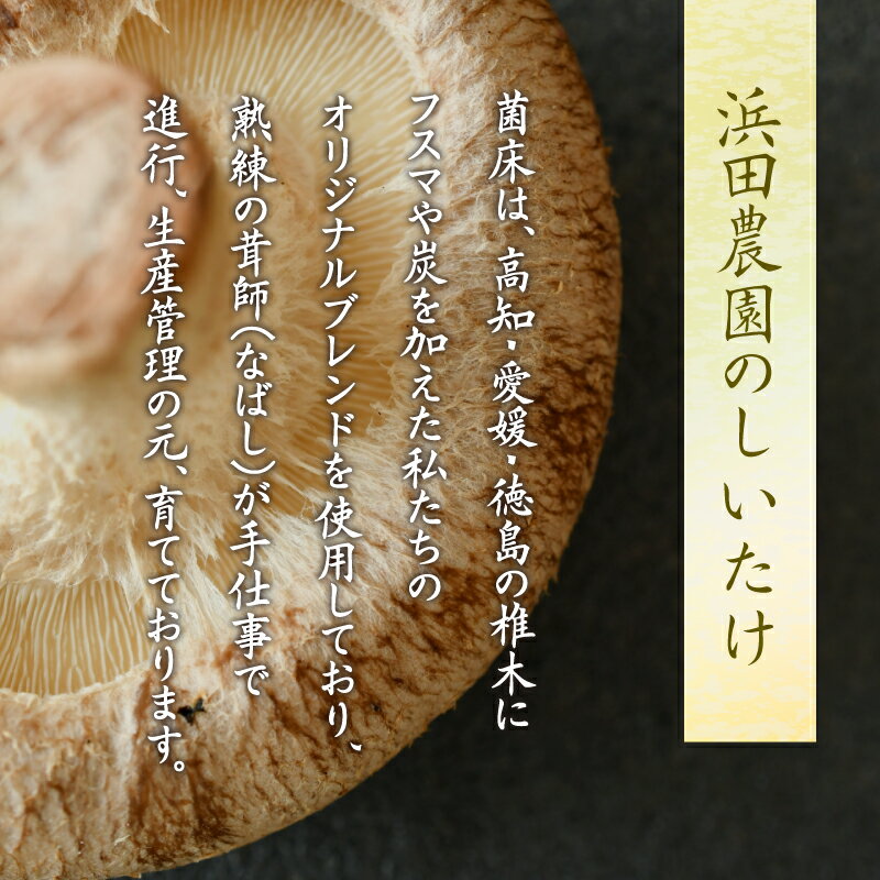 【ふるさと納税】 訳あり しいたけ 3kg 冷蔵 国産 徳島県 全国生産数1位 不揃い 規格外 椎茸 しいたけ きのこ 家庭用 おかず