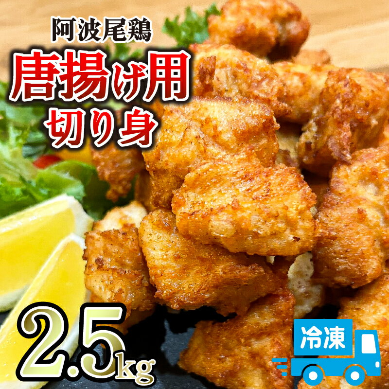 【ふるさと納税】 唐揚げ 2.5kg 500g×5パック 冷