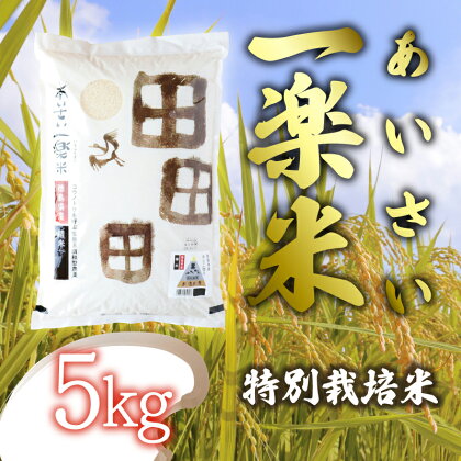 【特別栽培米・白米】 あいさい一楽米 5kg 令和5年度産 コシヒカリ 米 白米 精米