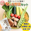 【ふるさと納税】 エシカル野菜5種とお米のセット 野菜 米 新鮮 採れたて 産地直送 やさい とうもろこし トマト 減農薬 きのこ オクラ 玉ねぎ 美味しい 小...