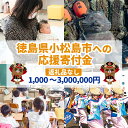 【ふるさと納税】 返礼品なし 1 000円～3 000 000円 徳島県小松島市への寄付 応援寄付金