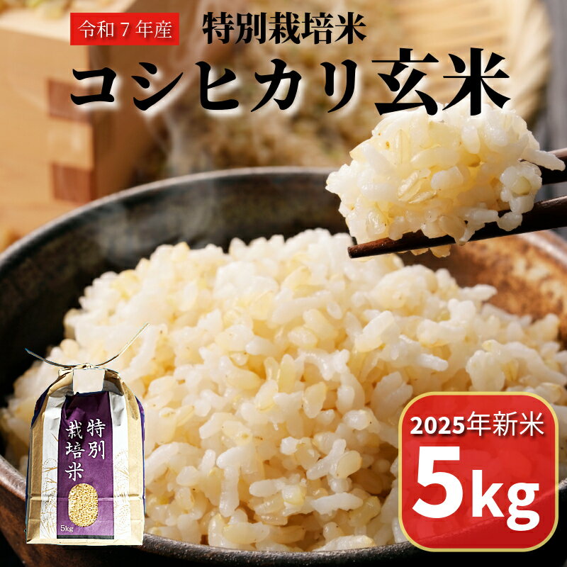 ڤդ뤵Ǽǡ ͽ2025ǯ9缡ȯۥҥ  5kg ̺       äפ ...