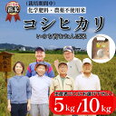 【ふるさと納税】 【令和7年産新米】米 コシヒカリ 5kg/10kg 天皇献上米 (栽培期間中)化学肥料・農薬不使用米 白米 精米 こめ ご飯 備蓄米 ごはん 新米 環境 に優しい 小松島市 上王子特質米 5kg 10kg(4)