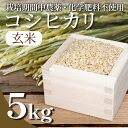 【ふるさと納税】 【2週間発送】 玄米 コシヒカリ 5kg 