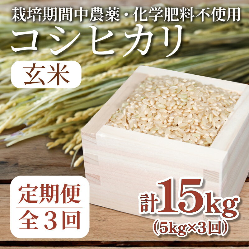 【ふるさと納税】 【定期便3回】 玄米 コシヒカリ 計15kg 5kg×3回 精米したて 玄米 定期便 ｜ 四国 徳...