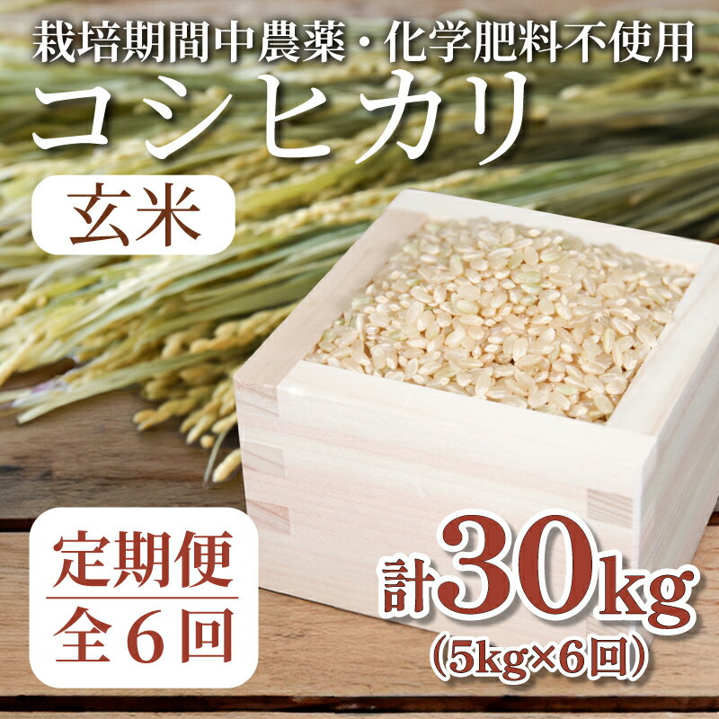 【ふるさと納税】 【定期便6回】 玄米 コシヒカリ 計30kg 5kg×6回 精米したて 玄米 定期便 ｜ 四国 徳島県 玄米 おいしい こめ おこめ 精米 限定 ごはん ご飯 ゴハン ふるさと ランキング 人気 送料無料 国産 TKG 卵かけご飯 おにぎり【北海道・沖縄・離島への配送不可】 1