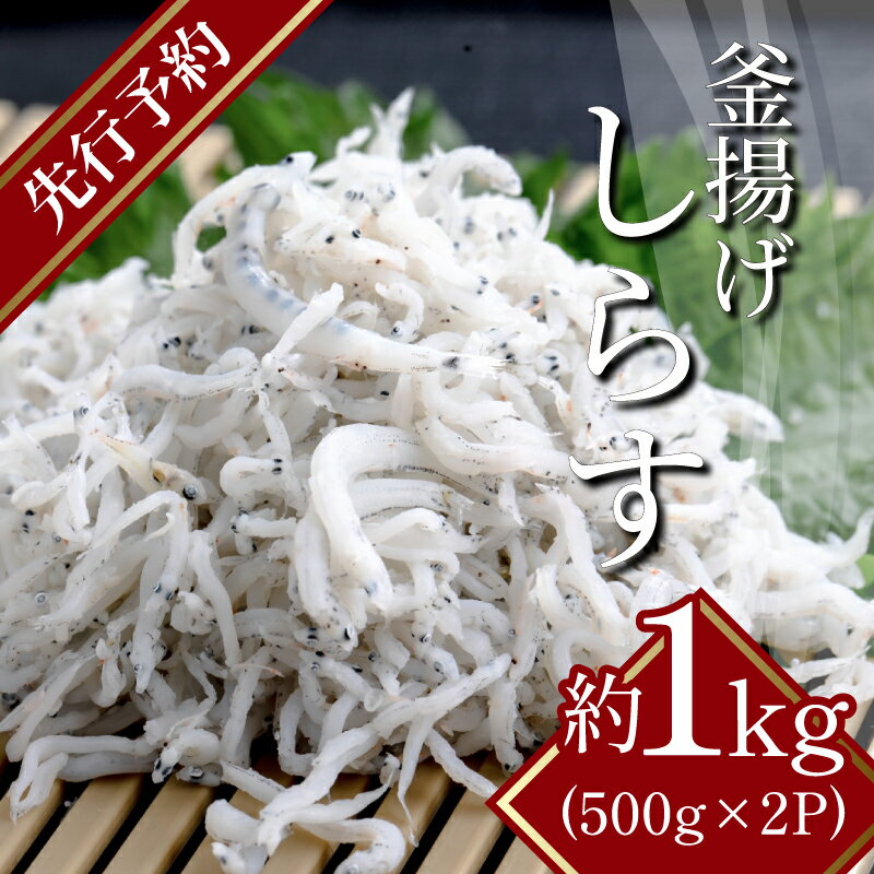 【ふるさと納税】 釜揚げしらす 茹でたて 新物 冷蔵 1kg（500g×2パック） 四国 徳島 小松島 瀬戸内 【テレビで紹介されました】 【2024年5月中旬より順次発送】 【北海道・沖縄・東北・離島への配送不可】 ｜ 太平洋 瀬戸内海 結ぶ 紀伊水道 しらす ｜送料無料