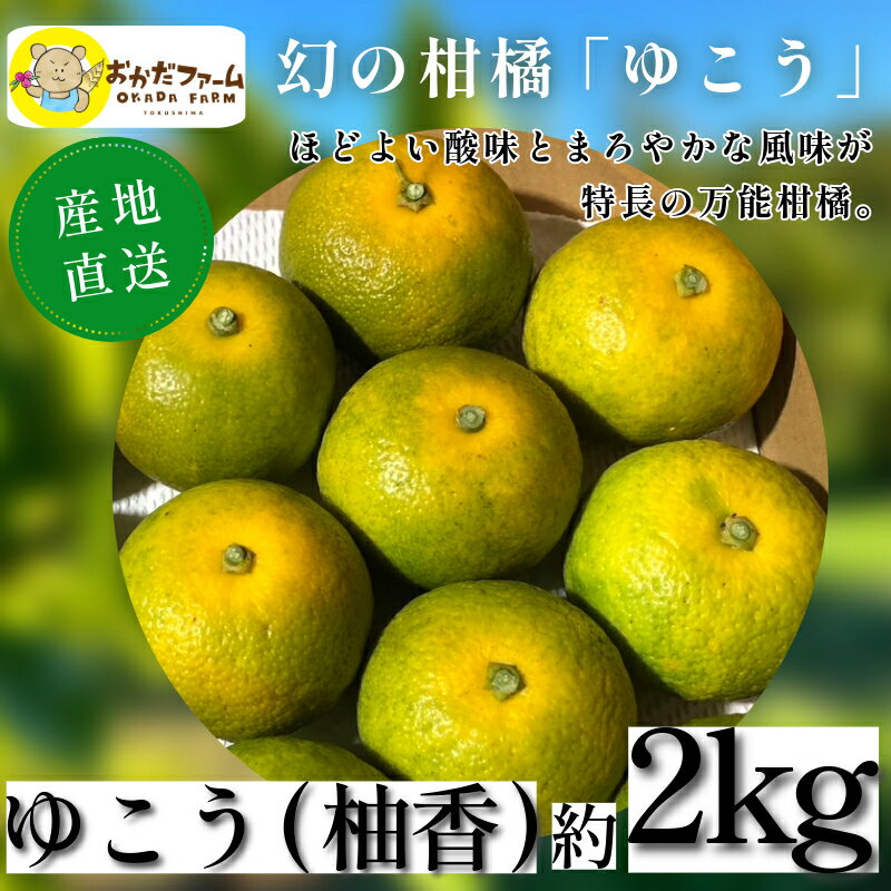 【ふるさと納税】 ゆこう 2kg 柑橘 徳島 みかん 柚子 すだち 酢 お酢 果汁 お酒 焼き魚 さっぱり オーガニック ふるさと納税 人気 2024年10月中旬順次発送