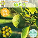 【ふるさと納税】 【2025年10月中旬順次発送】 ゆこう 1kg 柑橘 柚柑 ゆず すだち みかん 柚子 ユズ ダイダイ 酢 お酢 寿司酢 果実酢 果汁 お酒...