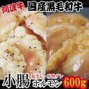 【ふるさと納税】 ホルモン 小腸 阿波牛 200g×3パック 小分け 計600g 国産 塩 味噌 牛 黒毛和牛 鍋 焼肉 脂 焼き ホソ もつ 肉 牛肉 BBQ 【北海道・東北・沖縄・離島への配送不可】