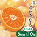【ふるさと納税】 みかん 温州みかん 5kg 10kg 2025年10月順次発送 温州みかん 完熟 柑橘 果物 フルーツ 国産 新鮮 【北海道、東北、離島、沖縄配送不可】(4)