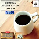 【ふるさと納税】 コーヒー 浅煎り 選べる 豆 粉 100g~500g コーヒー豆 珈琲 コーヒー COFFEE 自家焙煎 焙煎 コーヒー豆 浅煎り ドリンク 飲み物 喫茶 カフェ プレゼント ギフト 母の日 父の日 徳島 小松島 カモ谷製作舎