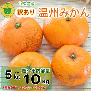 【ふるさと納税】 【2025年11月順次発送】 訳あり みかん 温州みかん5kg/10kg (+傷み保証250g~500g) ミカン 蜜柑 甘い フルーツ 柑橘 ジュース 小松島市 オススメ 人気 ふるさと納税 5kg 10kg