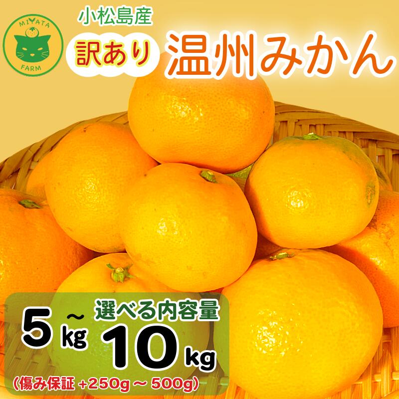 【ふるさと納税】 【2025年11月順次発送】 訳あり みかん 温州み...(4)