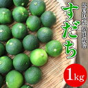 【ふるさと納税】 すだち 1kg 露地栽培 徳島県産 旬 スダチ 柑橘 酢 ビネガー 焼き魚 果汁 1kg 鮭 サーモン さば ぶり カクテル サワー