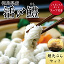 【ふるさと納税】 鱧 ハモ しゃぶしゃぶ 天ぷら セット スープ付き 新鮮 産地 直送 高級 料亭 高級魚 活け 冷凍 国産 魚介 海鮮 揚げ物 おかず 料理 焼き骨 湯引き 出汁 だし油 調理済み 電子レンジ 調理