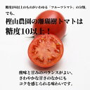 徳島県小松島市の画像2