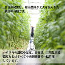 徳島県小松島市の画像3