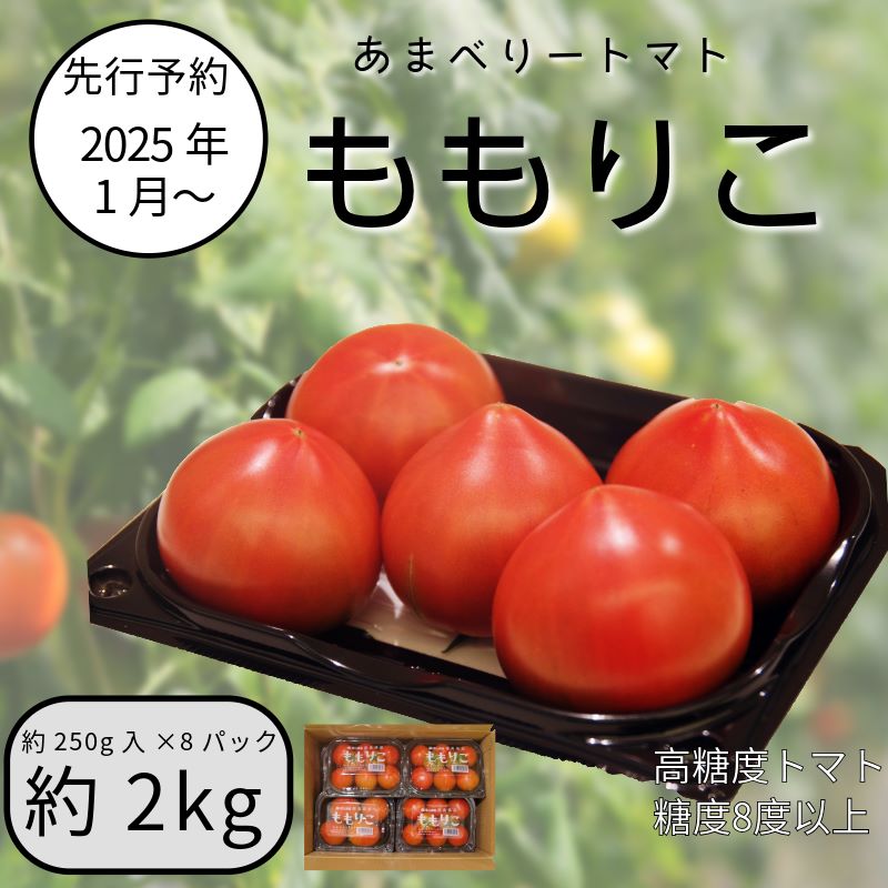 【ふるさと納税】 【先行予約】 2025年1月~5月発送 ももりこトマト 約 2kg (約250g×8パック) フルーツ トマト 赤 糖度 8以上 甘い 野菜 夏野菜 新鮮 鮮度 抜群 大玉トマト 完熟トマト 人気 リコピン 徳島 小松島 ジュース パスタ トマトジュース ジャム 健康食品 美肌 美容