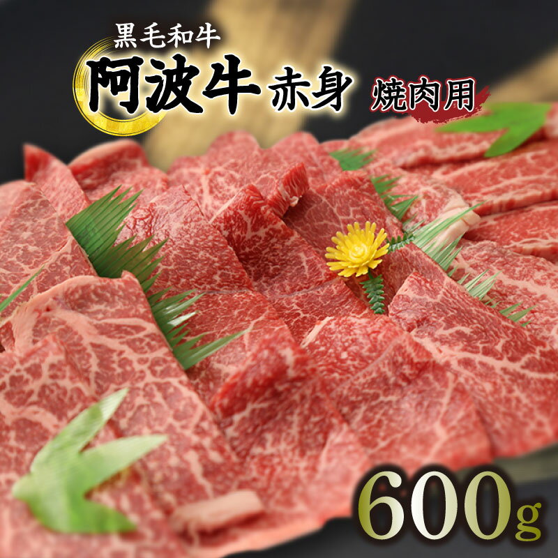 焼き肉 約 600g 冷凍 国産 黒毛和牛 阿波牛 和牛 牛肉 セット 赤身 マル イチボ クリ カメノコ トウガラシ バーベキュー BBQ