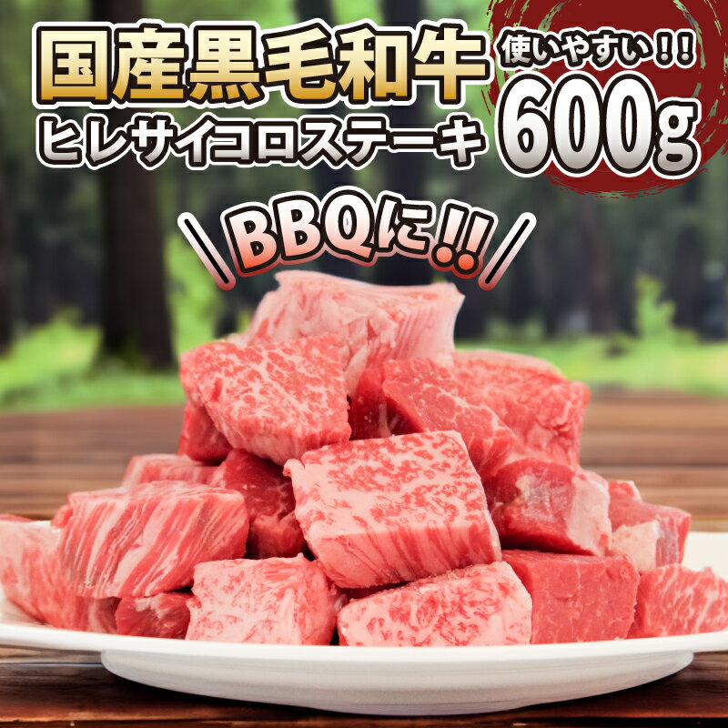 黒毛和牛 ヒレ サイコロステーキ 600g 冷凍 国産 阿波牛 特選 肉 カレー 煮込み料理 牛肉 おすすめ | キャンプ バーベキュー BBQ食材 夏休み 贅沢 特選 お出かけ カレー 煮込み料理 冷凍 牛肉 おすすめ 人気 四国 徳島 小松島 [送料無料]