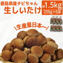 【ふるさと納税】 しいたけ 生 1.5kg 250g×6袋 徳島県産 国産 きのこ 茸 菌床椎茸 菌床栽培 菌糸 椎茸 生しいたけ 野菜 産地直送 ビタミンD ...