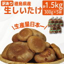 【ふるさと納税】 訳あり しいたけ 生 1.5kg 300g×5袋 徳島県産 国産 きのこ 茸 菌床椎茸 菌床栽培 菌糸 椎茸 生しいたけ 野菜 産地直送 ビタミンD 食物繊維 グアニル酸 低カロリー 健康 ダイエット 美容 出汁 鍋 煮物 味噌汁 うどん 徳島 小松島