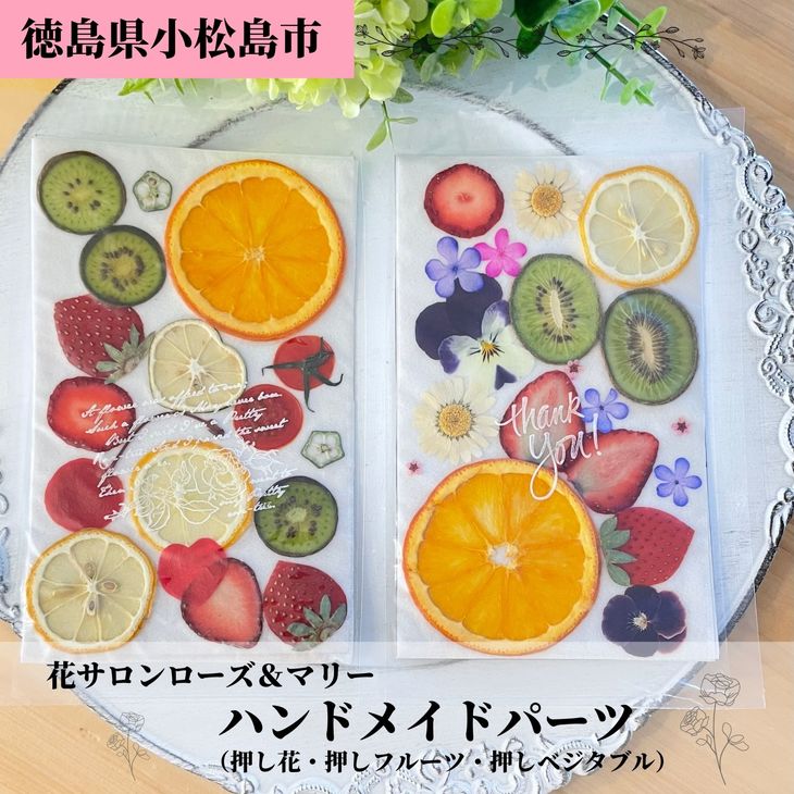 ハンドメイドパーツ 2種セット(押し花・押しフルーツ、押しベジタブル) 送料無料 |花 真空パック セット レジン コラージュ 花材 素材 キット DIY