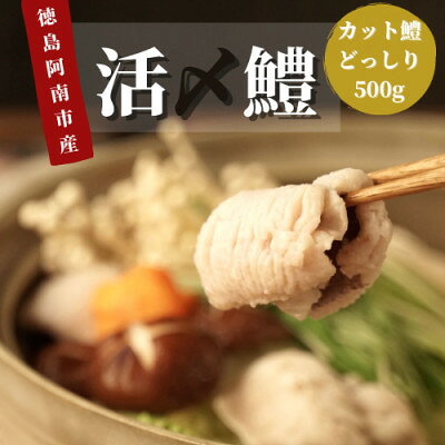 鮮度抜群!活け〆カットはも! 500g【配送不可地域：離島】【1214633】