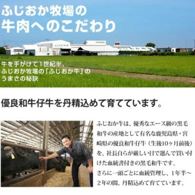 【ふるさと納税】【すき焼きギフト600g】特選ロースすき焼き用　阿波牛黒毛和牛未経産牛(処女牛)【配送不可地域：離島】【1528712】 f362042-anan-10000196 徳島県阿南市 サンプル画像2