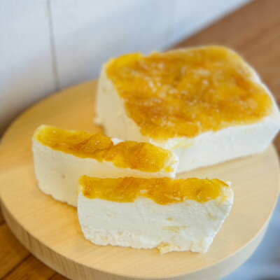 【ふるさと納税】ジェラート専門店がつくる贅沢カッサータ(アプリコット)【配送不可地域:離島】【1557292】