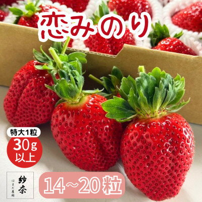【ふるさと納税】先行予約《特大14～20粒 》紗奈～はまだ農園　『恋みのり』大粒いちご　1粒30g以上【配送不可地域：離島・北海道・沖縄県】【1601788】