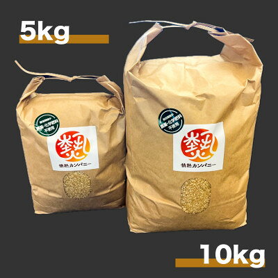 【ふるさと納税】【令和8年産　新米先行予約】コシヒカリ白米5kg《栽培期間中農薬・化学肥料不使用》徳島県阿南市産【1655304】 f362042-anan-10000225 徳島県阿南市 サンプル画像3