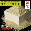 【ふるさと納税】【令和7年産 新米先行予約】コシヒカリ玄米5kg《栽培期間中農薬・化学肥料不使用》徳島県阿南市産【1655395】